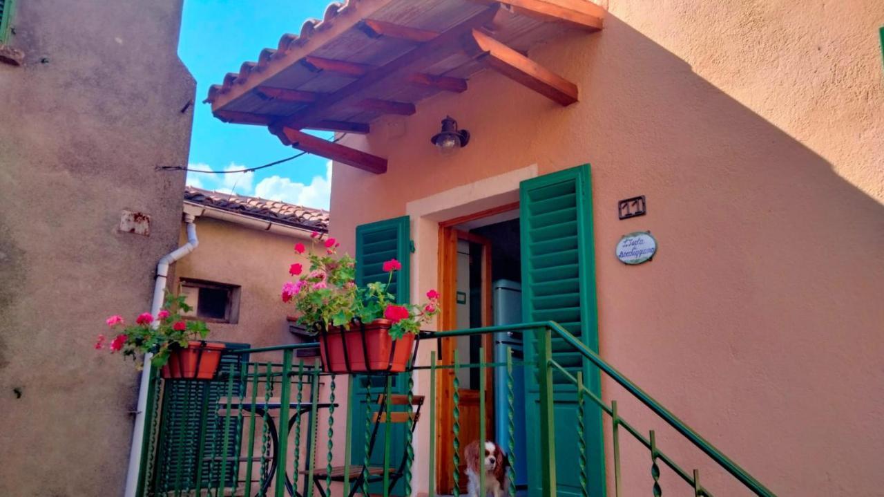 L'Isola Di Boccheggiano Apartment ภายนอก รูปภาพ